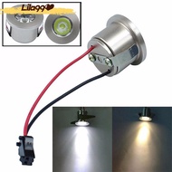 Small Spotlight Ceiling Mounted LED Downlight 1/4 Watt
