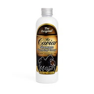 LADYSTYLE THE CAVIAR SHAMPOO ORIGINAL