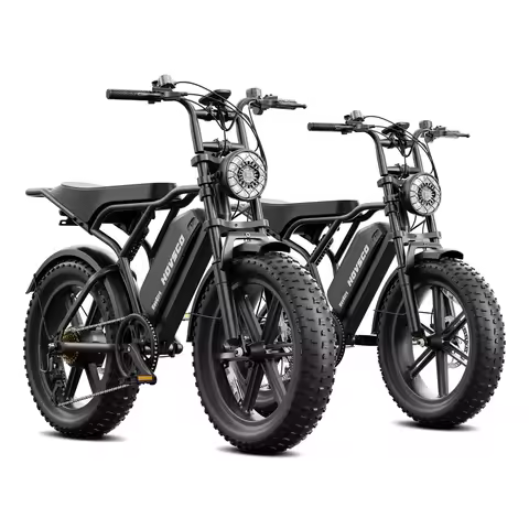 SXLL United States European Union Warehouse Express Shipping Original Ebike Fat Tires Fatbike 750W E