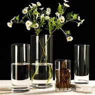 Large Transparent Straight Glass Vase Wholesale Living Room Floor Rich Bamboo Flowers Hydroponic Flower DecorationinsWin