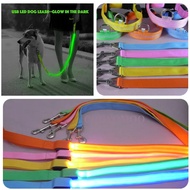 Led Pet Dog Leash Rope With Light Luminous Lead Leash Usb Charging For Dog Safety Flashing Glowing C