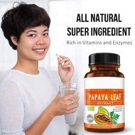 Cross-Border Hot Selling Hot Sale Papaya Leaf Capsules Papaya leaf capsule 60Source Factory In Stock