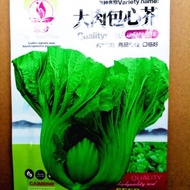 Big Meat Core Mustard Seed Core Mustard Seed Autumn Winter Vegetable Variety Mustard Seed Thick Juic