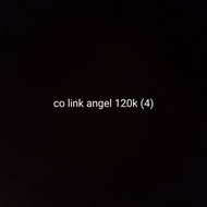 Co link angel 120k (4)