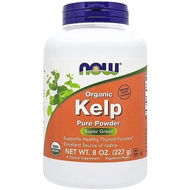 Kelp Powder Norwegian Now Foods 8 oz Powder