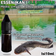 Essen katilayu lele asli essen ikan lele galatama eseen ikan lele indukan essen ikan lele siang / ma