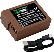 Wasabi Power USB Battery (Ginger Series) for Panasonic Lumix DMW-BLC12, DMW-BLC12PP, DE-A79, DE-A79B, Lumix DMC-G85, DMC-G7, DMC-G6, DMC-G5, DMC-FZ300, DMC-GH2, DMC-GX8 (Fully Decoded)