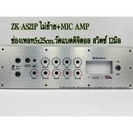 Zk-AS21P Bluetooth Speaker Plate No Moving + MIC AMP Composite Materials Slot 5x25cm.digital Battery