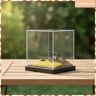 [HohohoMY] Display Case with Dust Cover Dustproof Diorama with Dust Cover 1/64 Scale Diorama Clear M