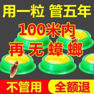 京鹤 蟑螂药强效家用无毒一窝端卧室厨房蟑螂克星灭虫神器一扫光方便贴 加强升级款【3盒24枚】