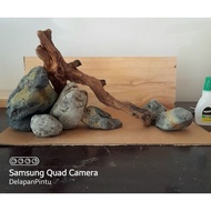 Hakkai stone for aquarium shallow tank P30x20x15cm biotope riversion design