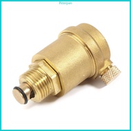 RPAN DN15 DN20 DN25 Brass Air Vent Valve Automatic Brass Pressure Relief Valve Metal