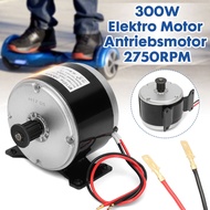300W 24V DC Electric Motor Brushed 2750RPM For E Bike Scooter Go Kart MY1016
