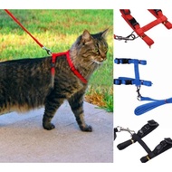 kolar kucing leach belt cat