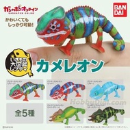 Bandai 扭蛋  生物大圖鑑 豹 變色龍