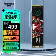 梵想（FANXIANG）2TB SSD固态硬盘 M.2接口PCIe 4.0 x4 长江存储晶圆 国产TLC颗粒 PS5台式机笔记本电脑S690