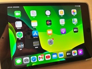 iPad mini 5 蜂窩移動版 可插卡版 64GB