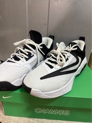 Nike波鞋 籃球鞋