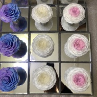 Giant Preserved Flower Single Flower Rose Mirror Acrylic Gift Box Giant 9-10CM Dried Flower Preserve
