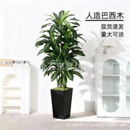 Artificial Silk Artificial Tree Floor Factory Orchid High Pot White Direct Sales Artificial Tree Art