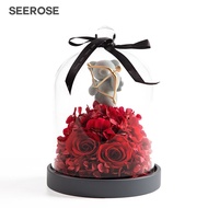 西罗斯（SEEROSE）永生花丘比特熊保鲜玫瑰花束国庆情人节送女生朋友表白生日礼物 丘比特熊-嫣红(不支持代写贺卡)