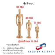 Wooden Model Human Figure Various Sizes