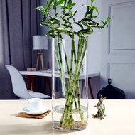 🚓50cmLarge Floor Vase Transparent Cylindrical Transparent Straight Glass Vase Bamboo Hydroponic Rich Bamboo Vase