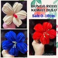 BUNGA RAYA KAWAT BULU