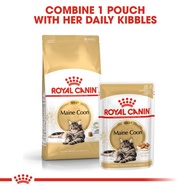 New !! Royal Canin Adult Maine Coon Makanan Kucing Dewasa Maine Coon