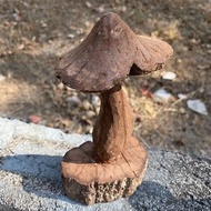破香菇-菊花藤手刻蘑菇木雕(台灣製)