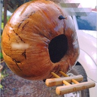 SARANG BURUNG untuk burung baji dan lain2 burung