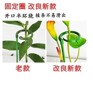 Plant Fixed Anti-Lodging Flower Rack Gardening Support Single Pole Outdoor Garden Chinese Rose Climbing Vine Hydrangea S