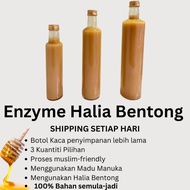 Enzyme Halia Bentong Original