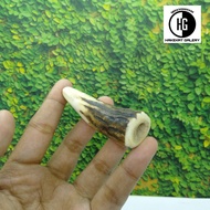 once pipa rokok tanduk rusa asli D334