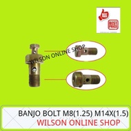 Banjo Bolt M8 (1.25) X M14 (1.5)