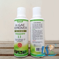 ISTA Algae Remover 250ml – Remove/Prevent Hairy Algae Brown Algae Blue Green Algae Black Brush Algae