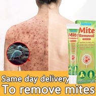 Herbal Mite Removal Cream Antibacterial Cream and Quick Relief of Itching Lice Scabies Treatment Oin