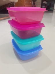 Tupperware Small Rectangular Saver (4)