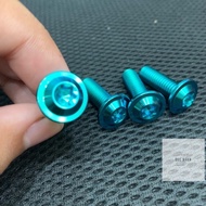 Titanium screw gr5 8li25