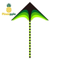 [Pine-t] kites tails with handle outdoor toys for kids kites nylon ripstop albatross kite