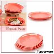 💜💜 Tupperware Blossom Plate Set of 4 Pinggan 💜💜
