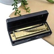 1pc Metal Diatonic 10-Hole Professional Blues Harmonica, Suitable For Beginners Mini Instruments, Gu