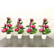 Chiffon lotus pot 38cm high