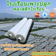 พลาสติกโรงเรือน พลาสติกใส พลาสติกคลุมโรงเรือน 200 micron thick PE plastic greenhouse greenhouse plas