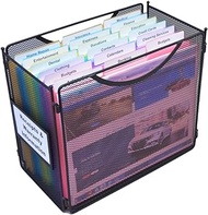 Ultimate Office Mini Mesh Desktop File Box Portable Project Organizer Complete with a Set of 18, 3rd-Cut PocketFiles