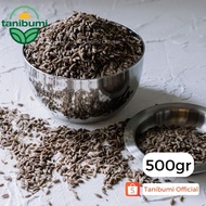 500g | Spicy Fennel Seeds | Dill Seeds | Herbal Fennel | Premium Spicy Cumin