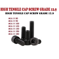 HT Socket Cap Screw - M16 x 70mm ~ 180mm (High Tensile Grade 12.9 Allen Cap Bolt)