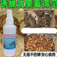 Cicada Attractant Cicada Attracting Scorpion Catching Knowledge Monkey Catching Golden Cicada Climbi