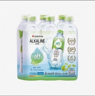 Ichitan Alkaline Drink pH Plus with vitamin D 550 ml 6 Pack