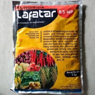 Fungisida sistemik dan kontak LAFATAR 85 WP 1kg Obat Jamur pada